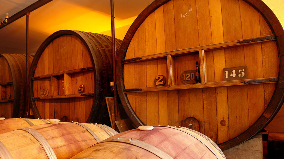 Guided tours and tastings