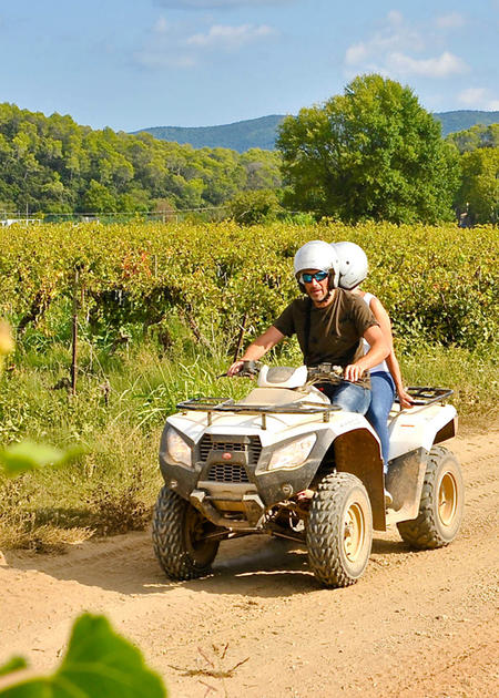 Excursion en quad dans les vignes