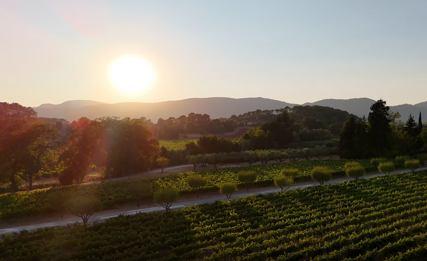 Château de l'Aumérade Cru Classé